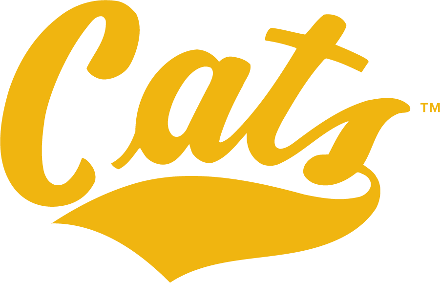 Montana State Bobcats 1995-2004 Wordmark Logo DIY iron on transfer (heat transfer)
